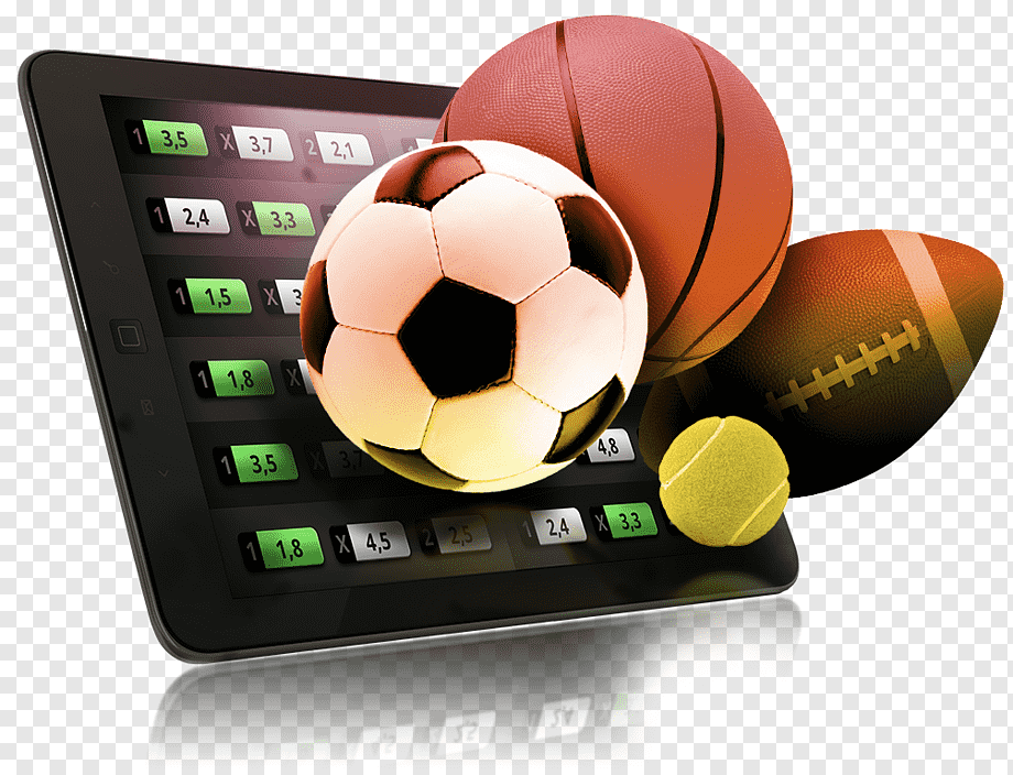 Discover the Best Online Casinos for Beginners 16